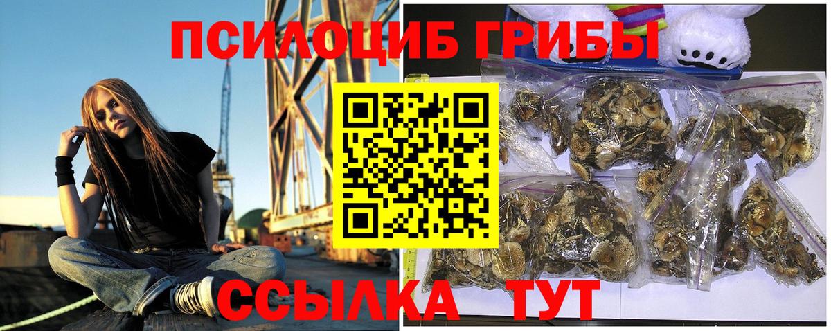 Галлюциногенные грибы MAGIC MUSHROOMS  Вход с VPN  Слободской 